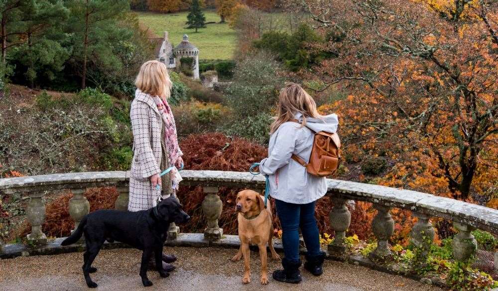 Take the whole family, even the dogs, for a walk around Scotney Castle. Picture: National Trust Images