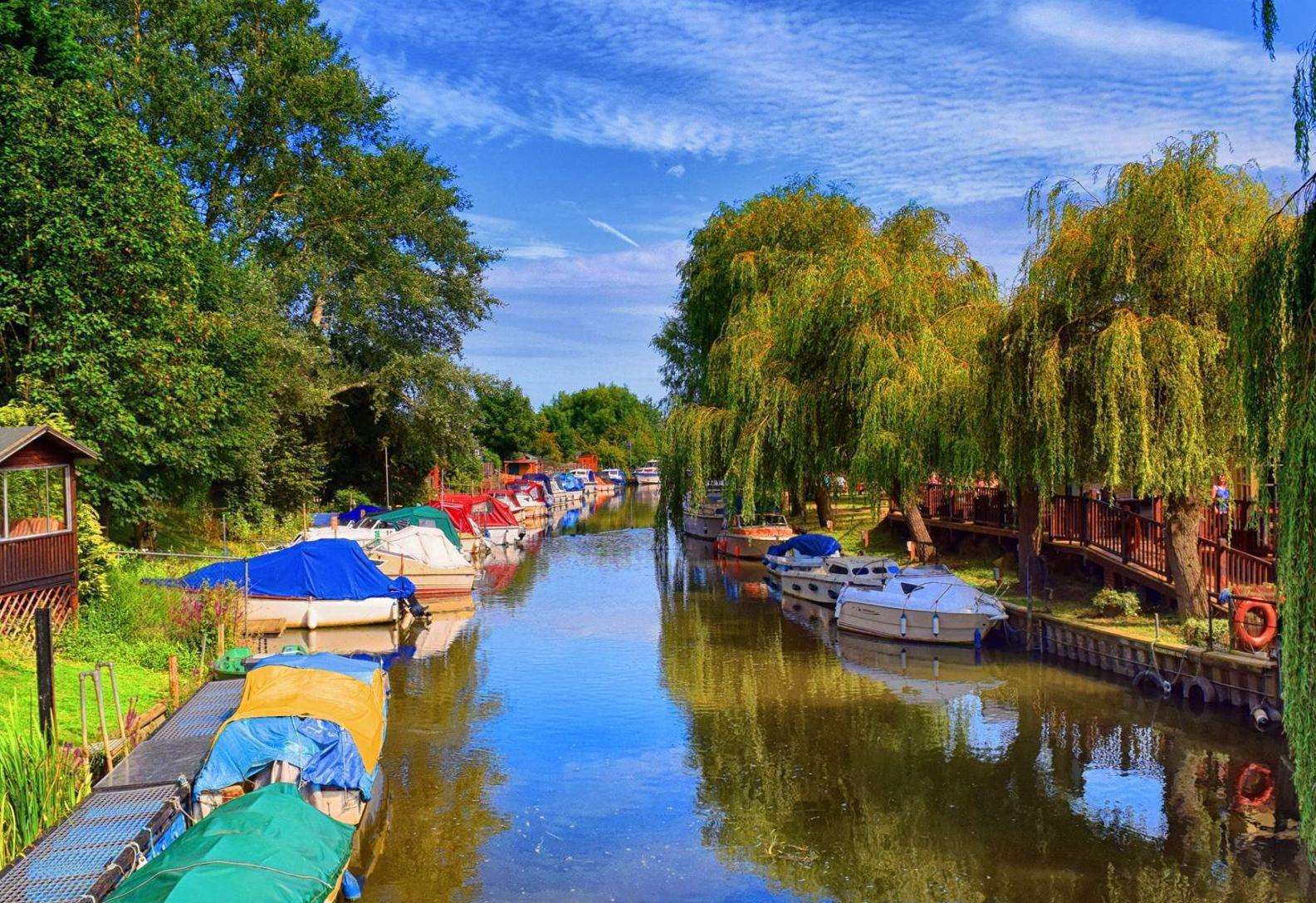 Relax on an electric powered boat trip along the River Stour