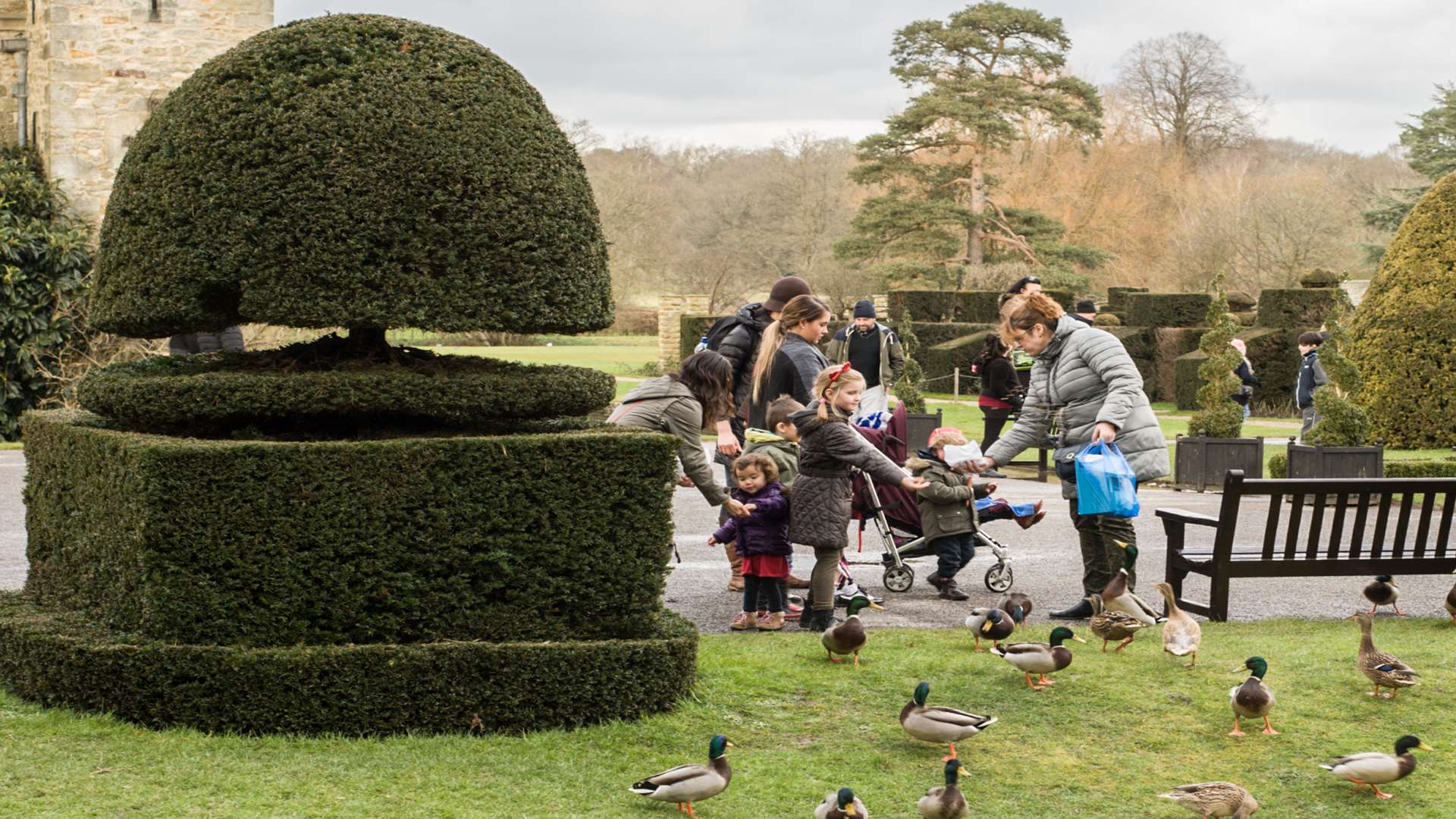 Families are being invited to feed the ducks
