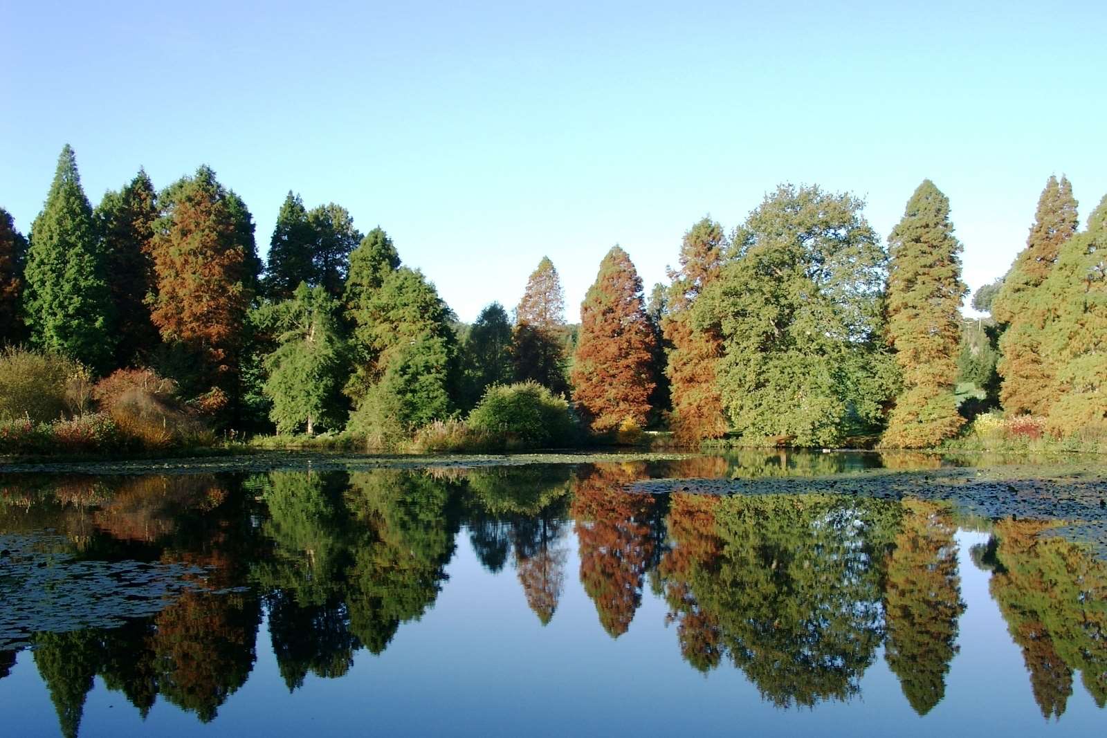 Bedgebury National Pinetum and Forest