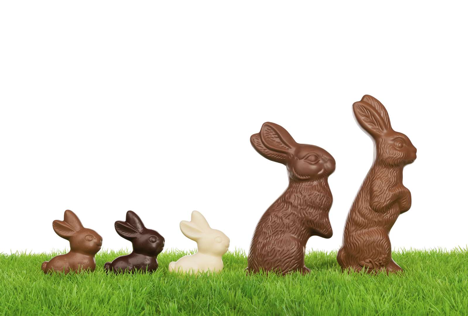 Fancy a hunt for a chocolate treat?