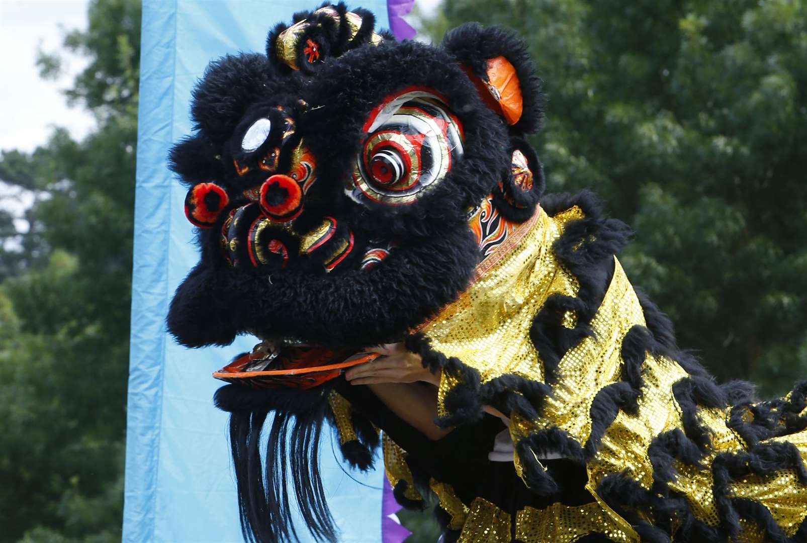 Maidstone Mela. Chinese Lions..Whatman Park, Waterside Gate, Maidstone, ME16 0GB.Picture: Andy Jones. (13722546)