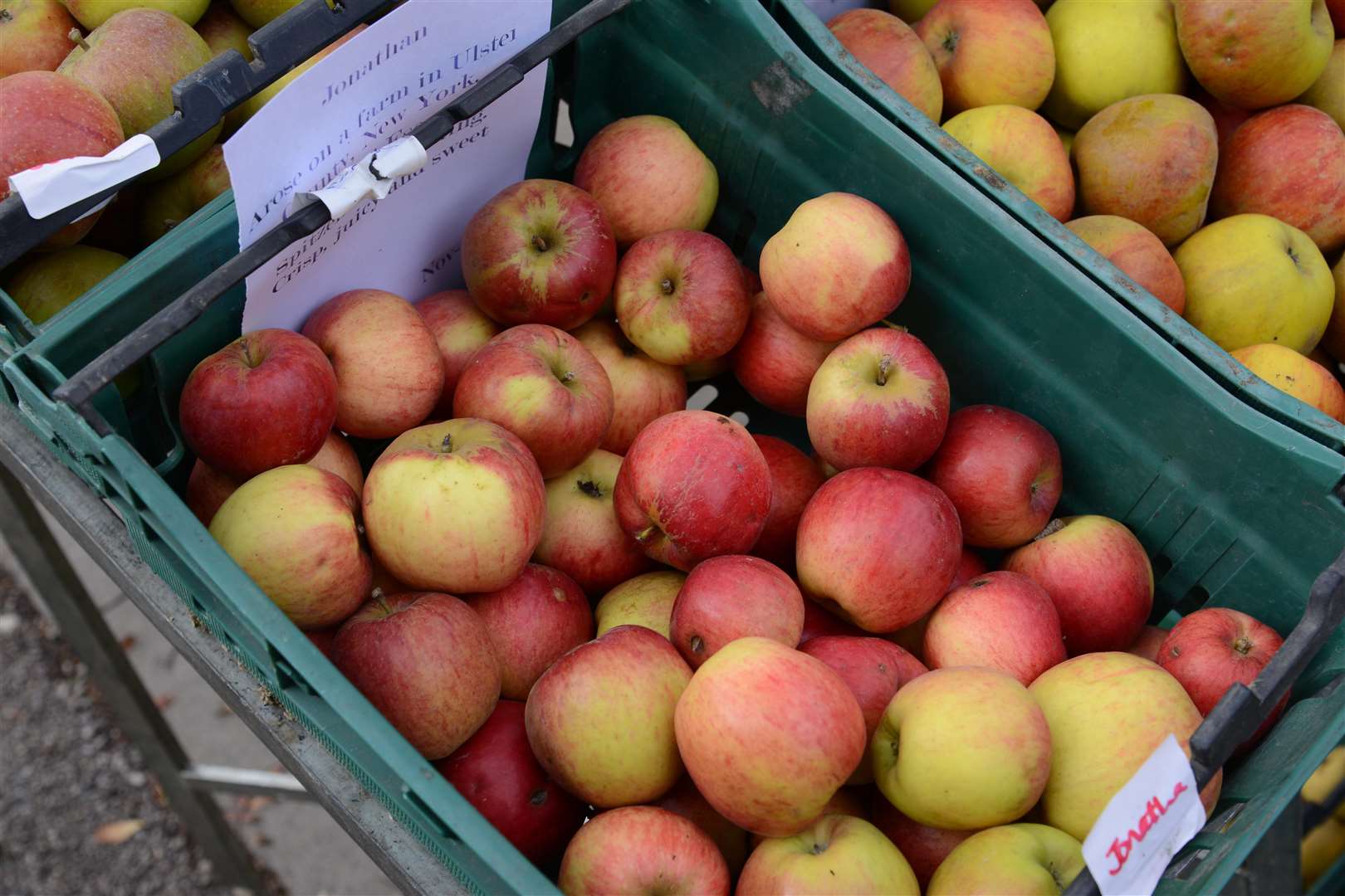Apples from Perry Court Farm