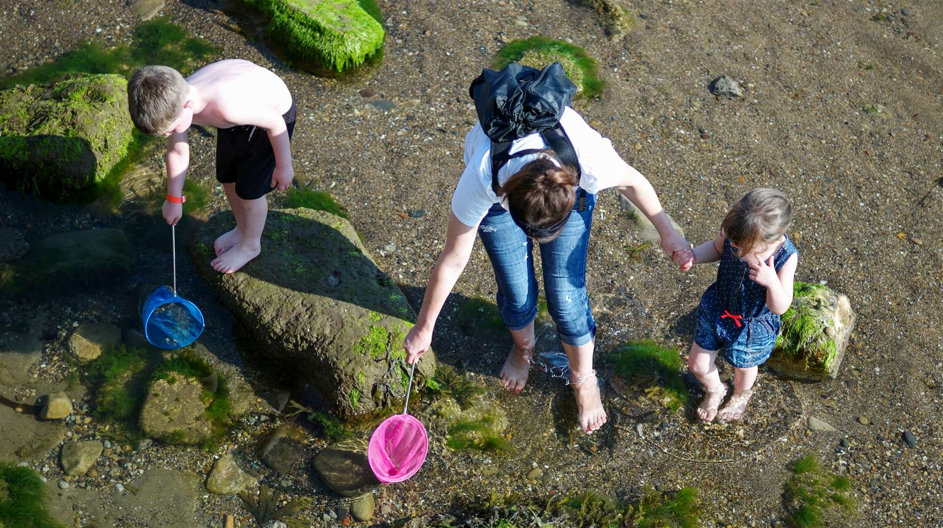 You can search for crabs in rock pools or using lines dropped into the sea