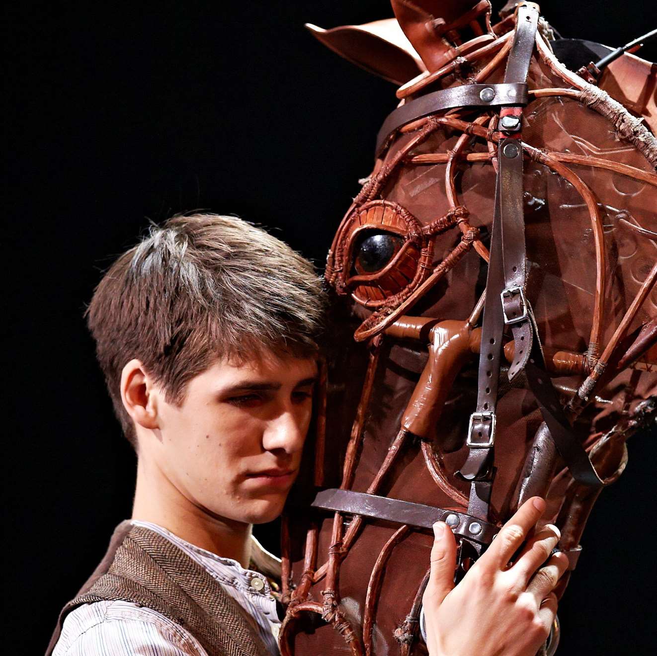 War Horse