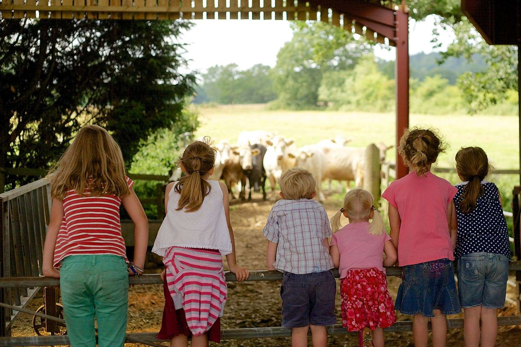 Open Farm Sunday takes place on June 9
