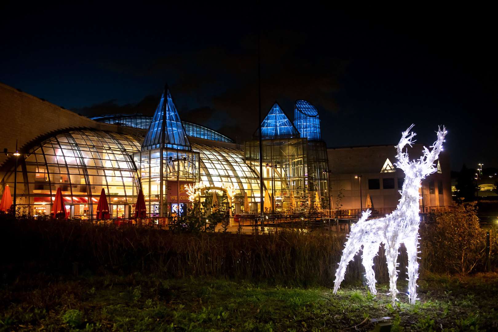 Bluewater Christmas events for 2020 to be unveiled from Monday