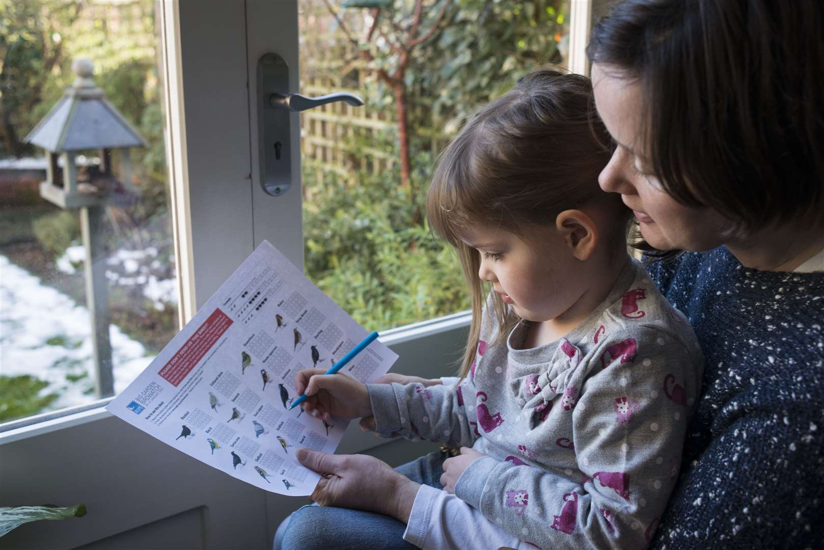 RSPB Big Garden Birdwatch