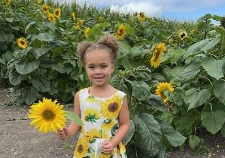 The Sunflower Patch could be the perfect summer pastime