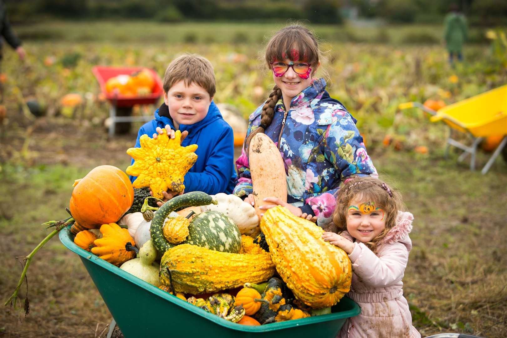 Have you picked your pumpkins yet?