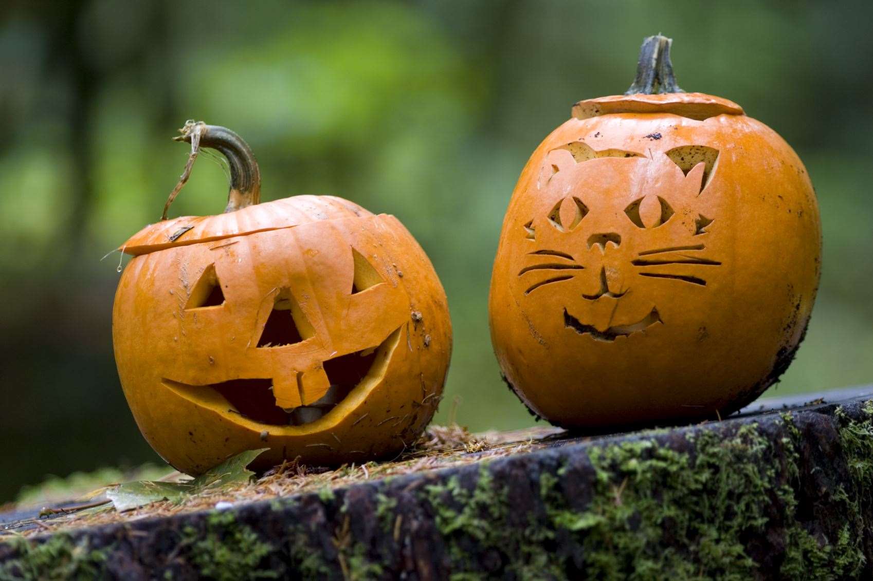 There plenty of half term Halloween events