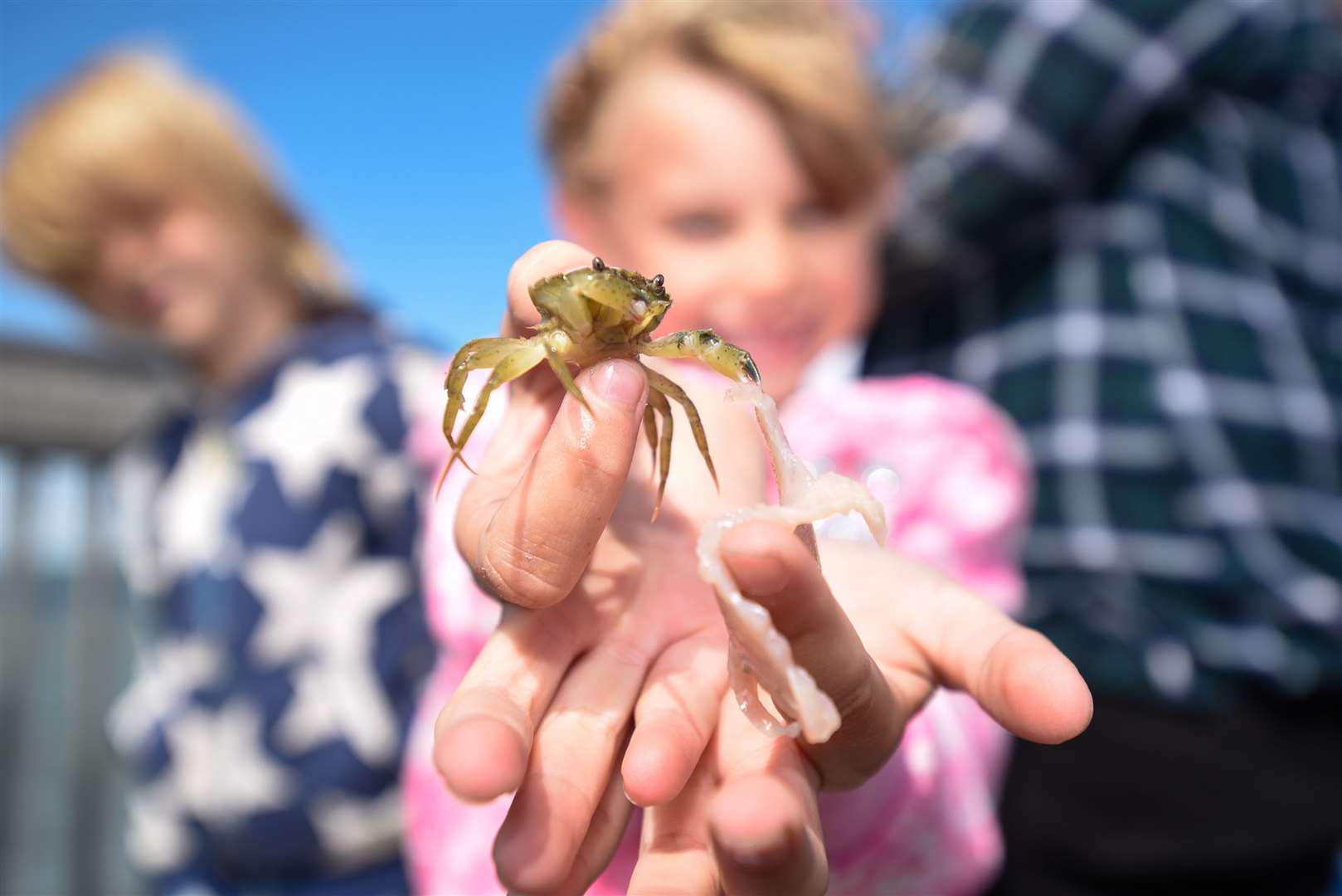 Have you taken the kids crabbing in Kent?