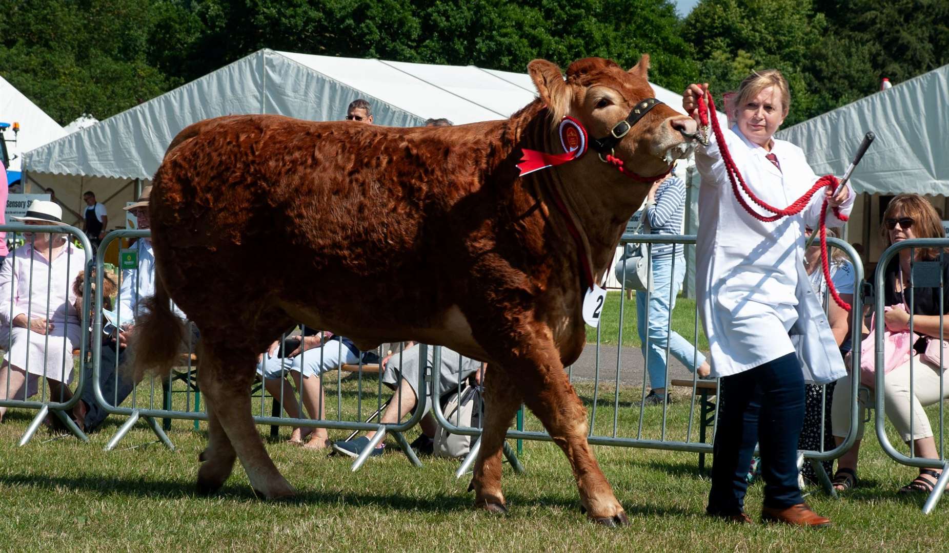 The event draws in thousands of visitors every year