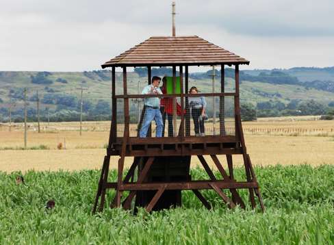 The Maize Maze viewing tower at Haguelands Village. Picture: Jeff Sims