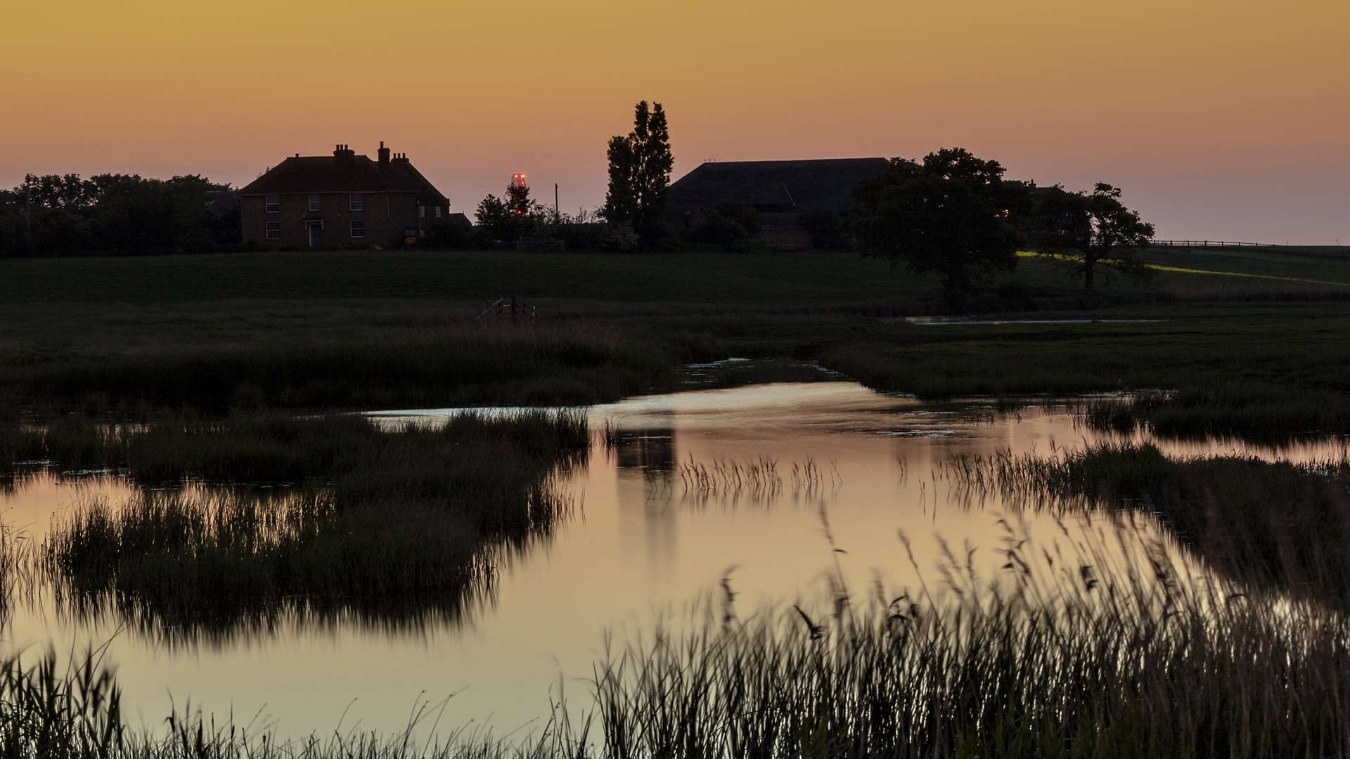 Elmley National Nature Reserve. Picture by Henry Slack