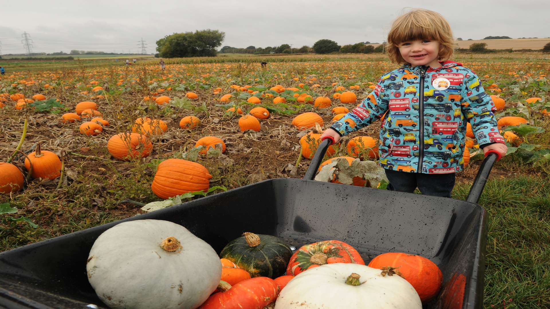 Pick Your Own pumpkin farms in Kent for Halloween and half term 2016