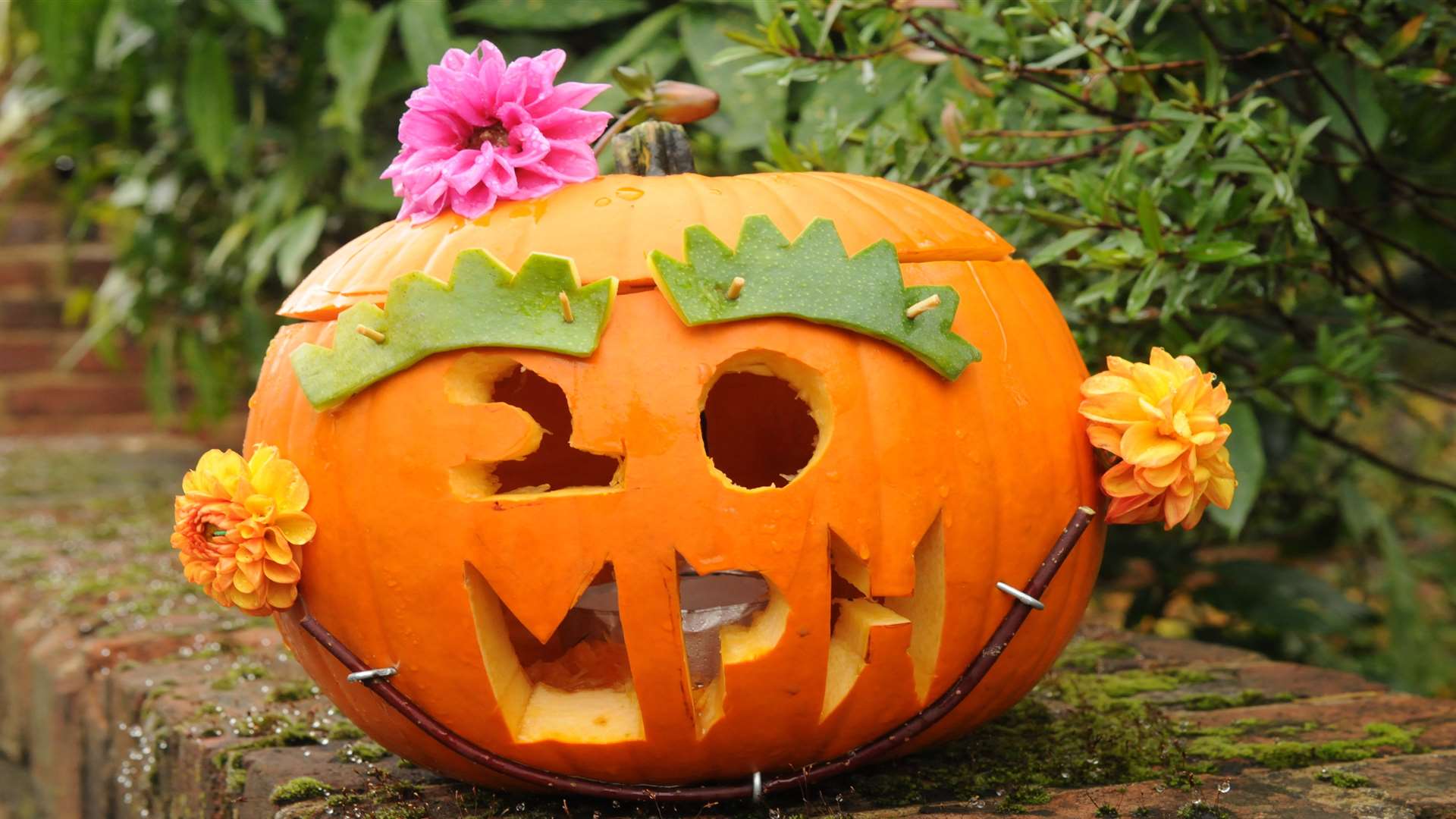 Fancy a spot of pumpkin carving this weekend?