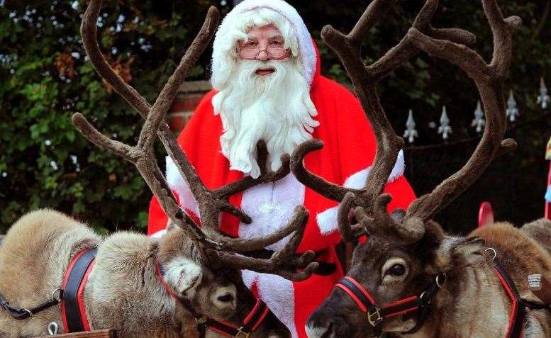 Meet real-life reindeer and other animals at the Reindeer Centre in Bethersden. Picture: Reindeer Centre