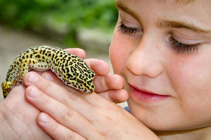 Make some new pals at Penshurst Place this half term