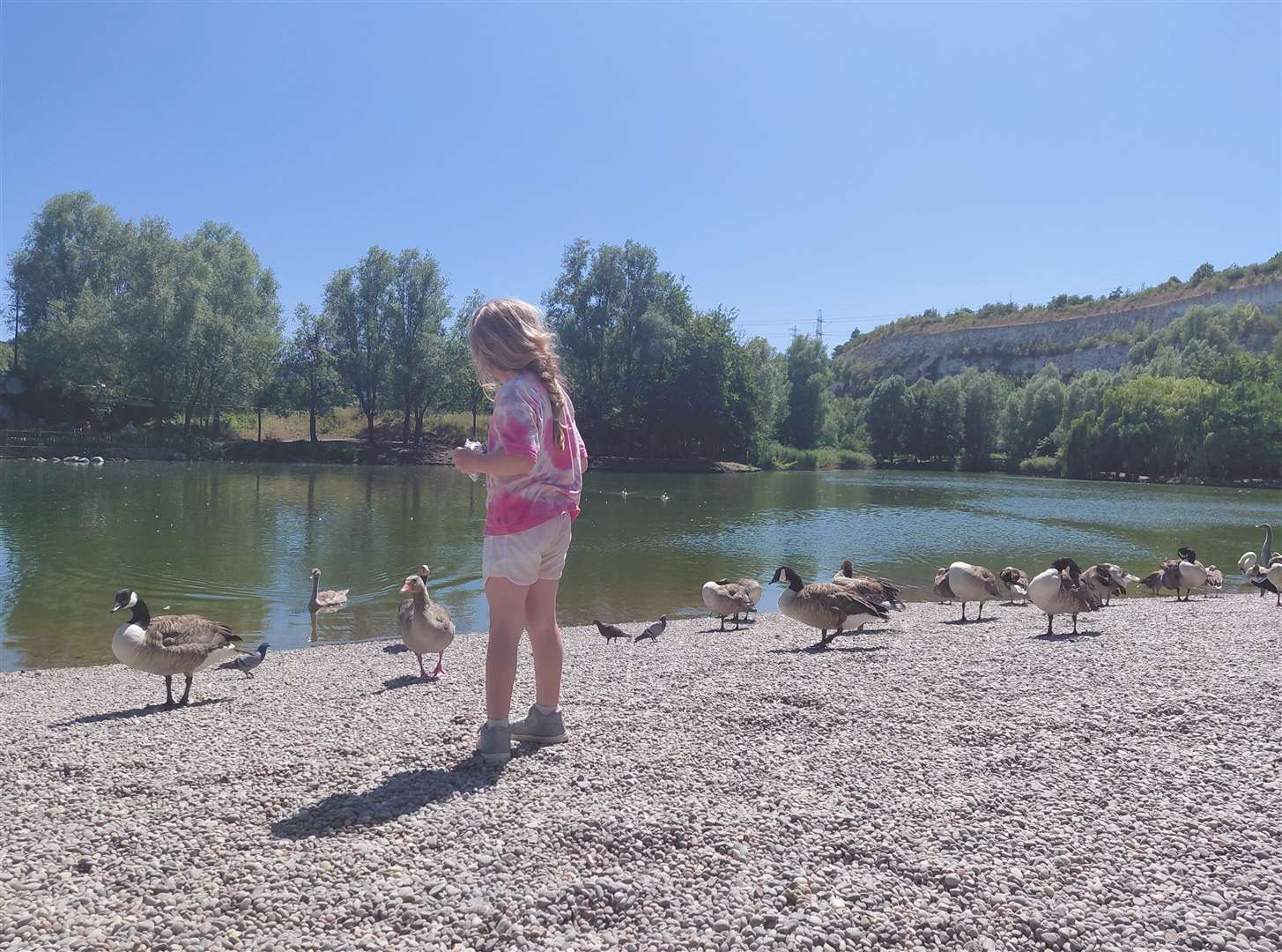 Feeding the birds