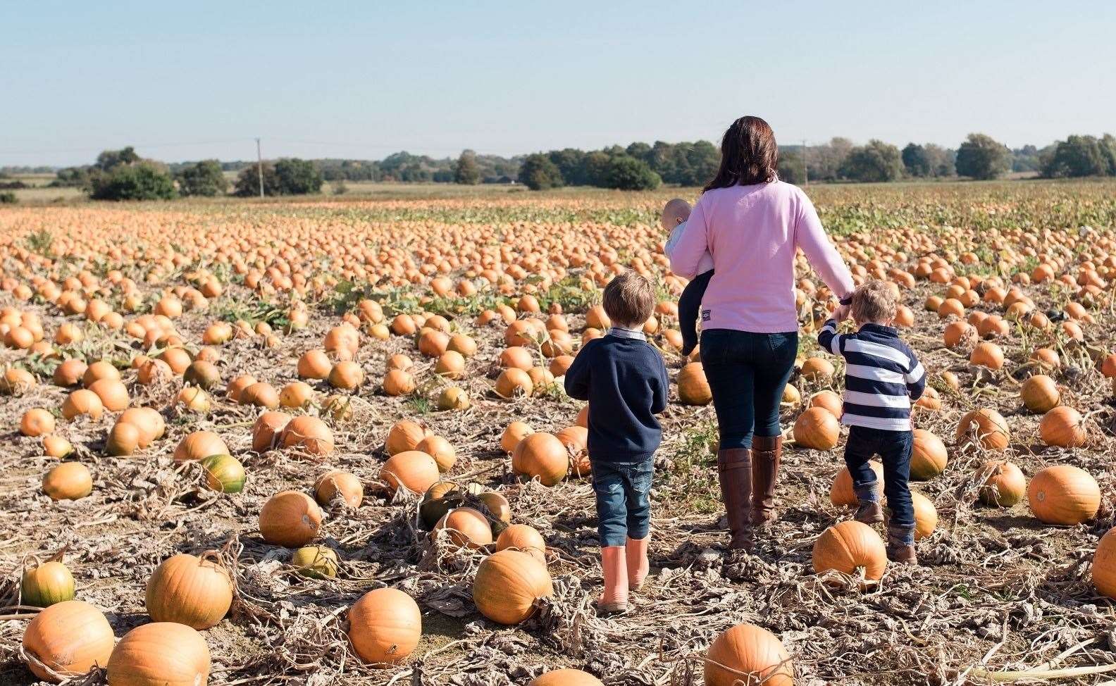 Pick your own pumpkin, Sevington, Ashford Picture: Inga Keyes