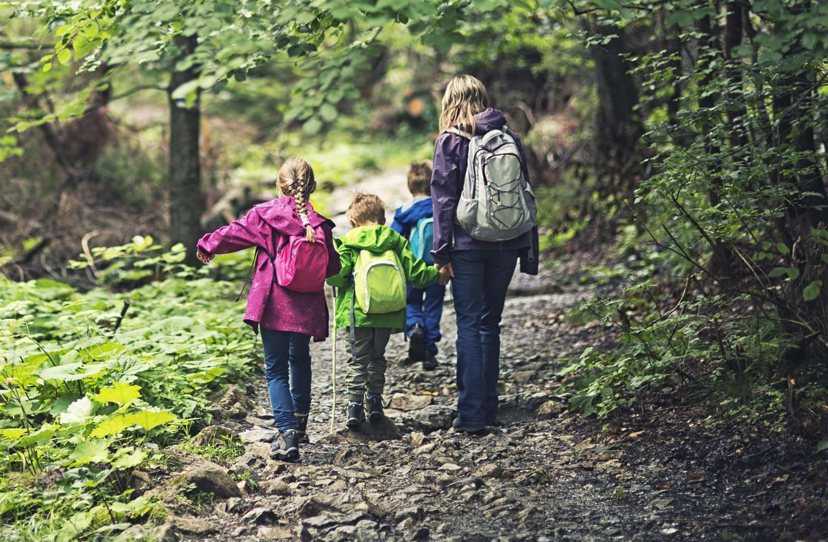 Taking a check list of things to find can make children walk more willingly