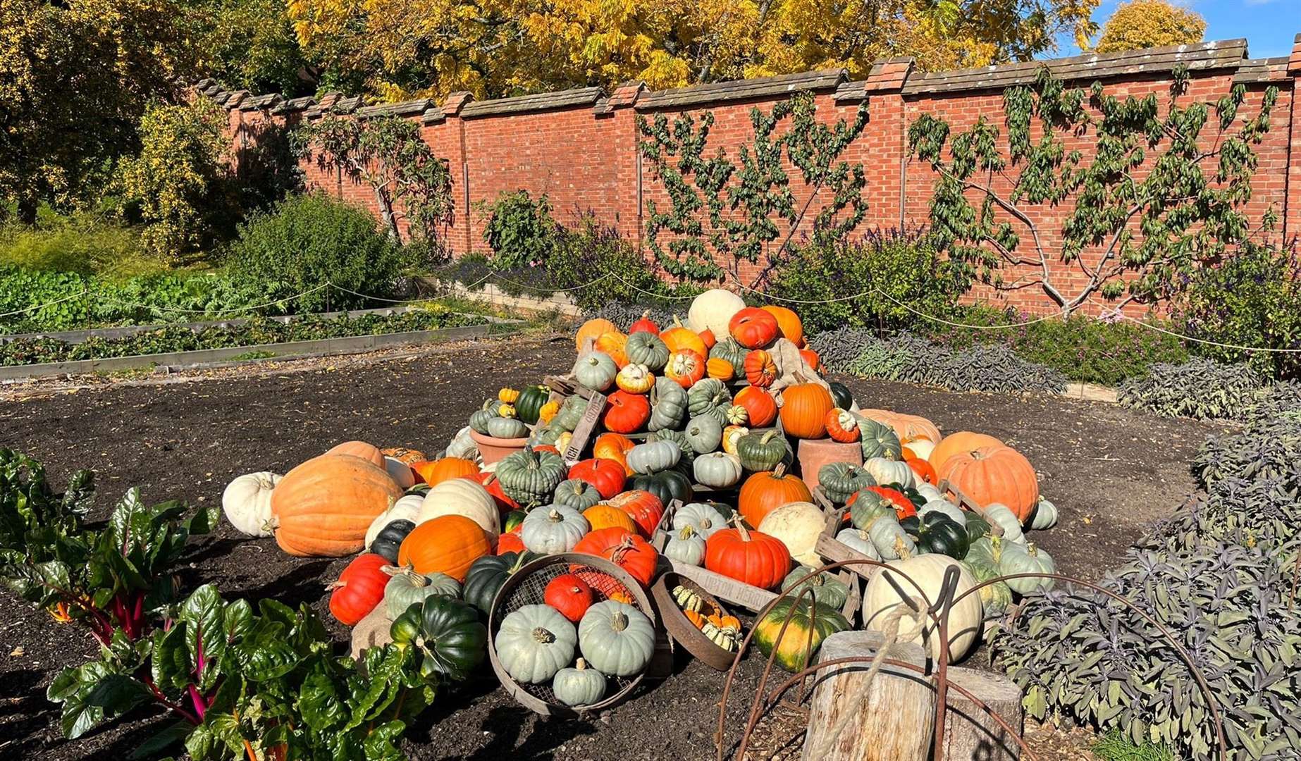 Chartwell is being transformed into a pumpkin patch for this year’s October trail. Picture: ©National Trust