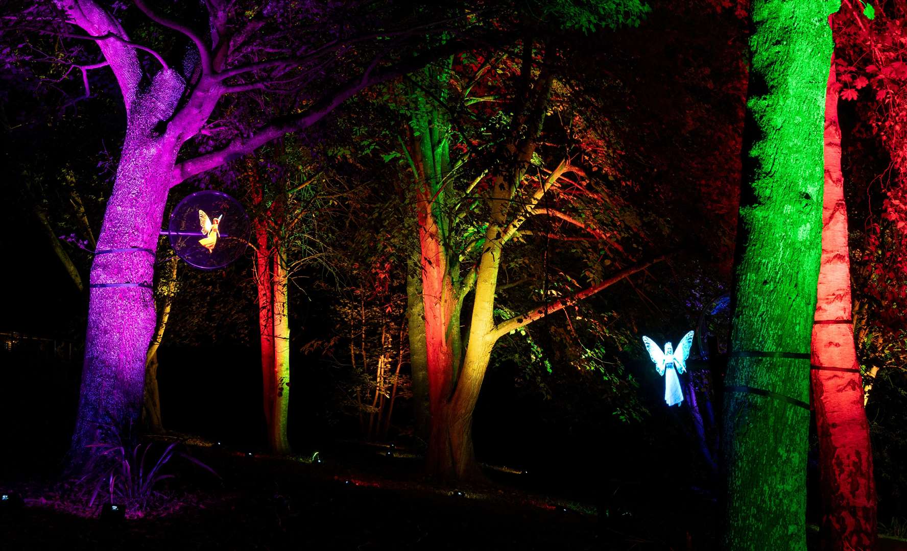 The glittering new Port Lympne Illuminated trail will open this Christmas. Picture: Port Lympne Reserve