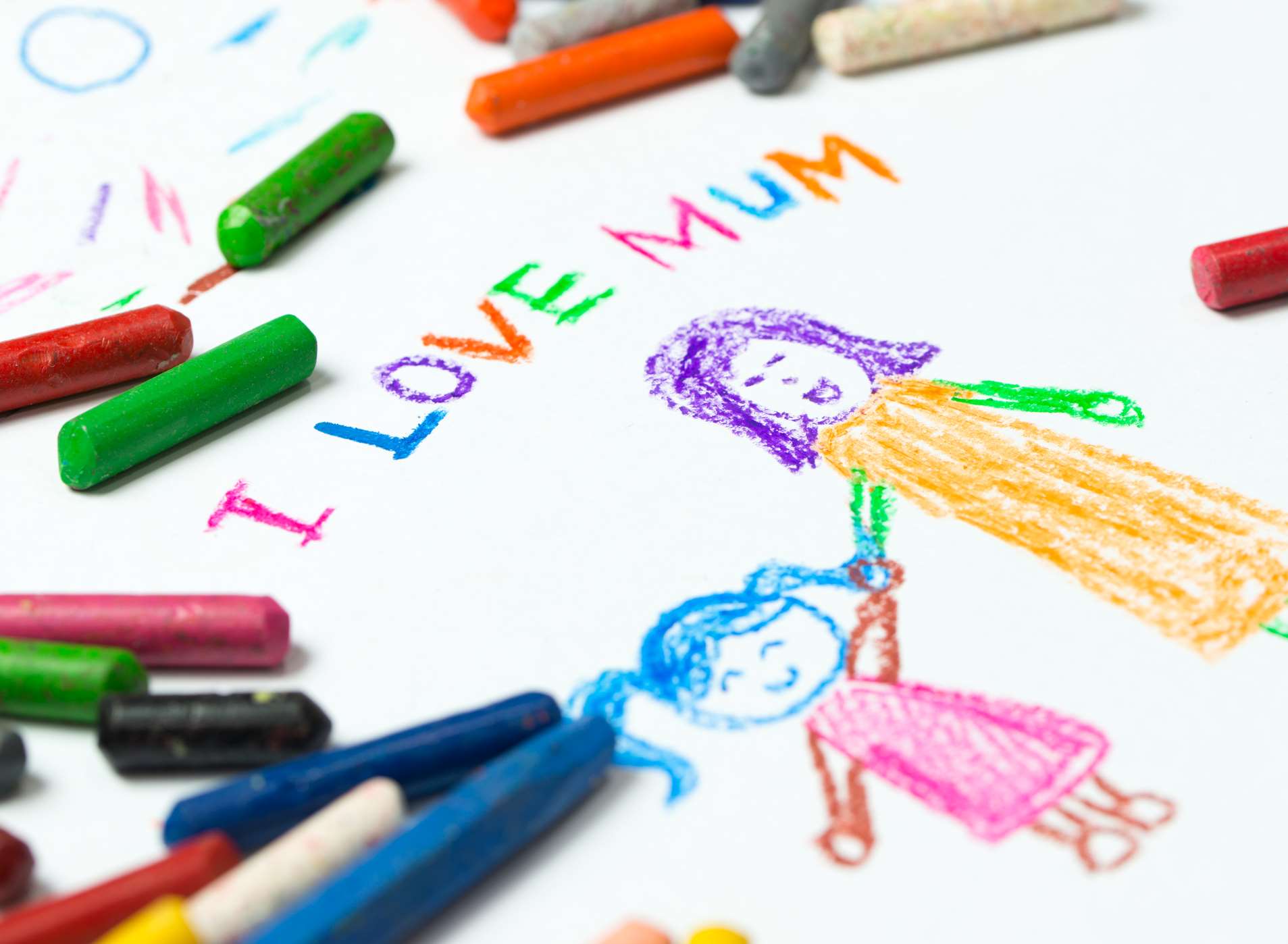 We will having drawings of more than 23,000 Kent mums