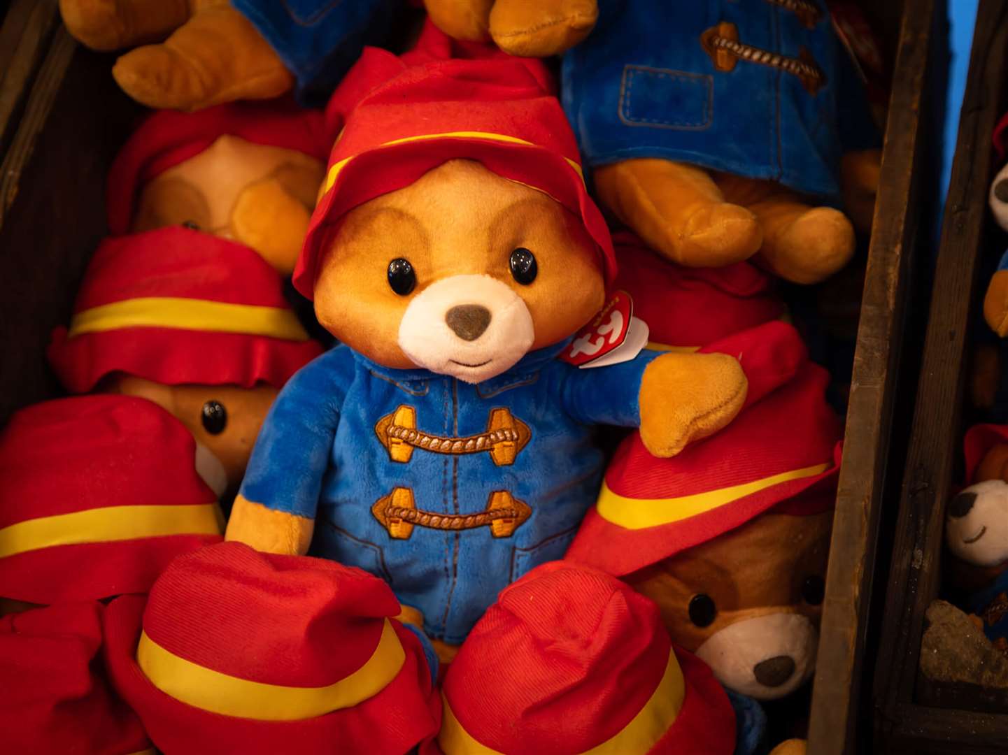 Grab some winter fun at the Paddington Bear Experience