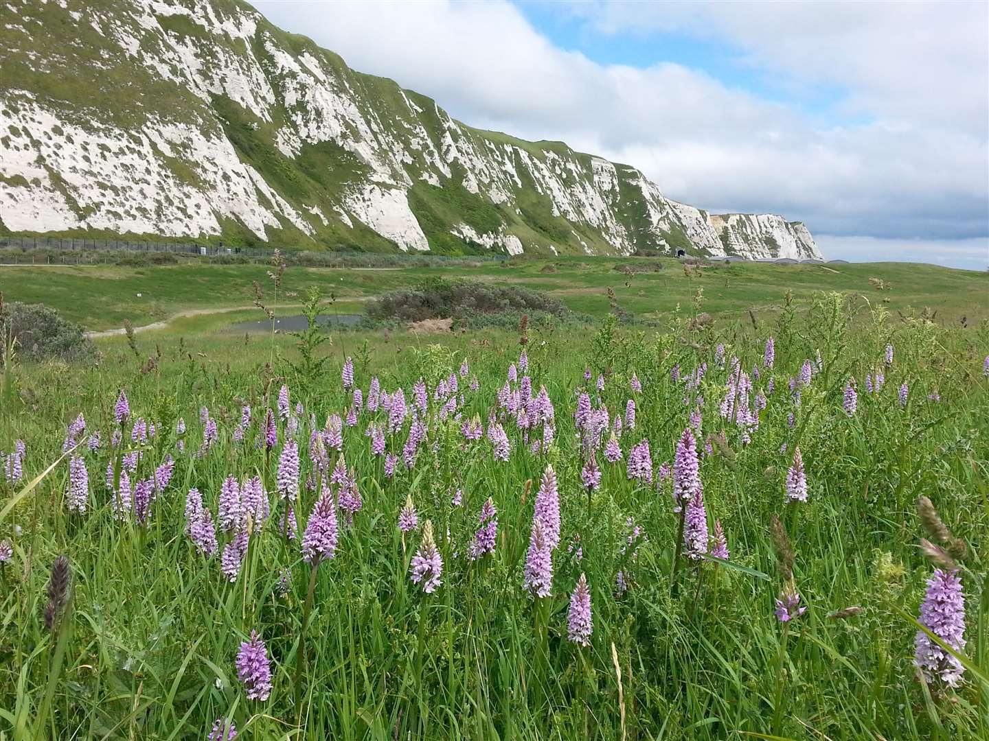 Samphire Hoe currently remains closed to visitors because of the coronavirus outbreak