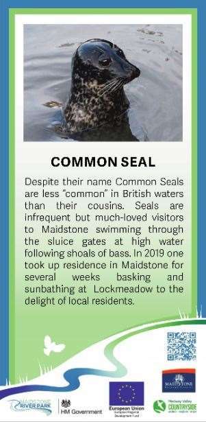 Common Seal information that will go on one of the posts. Picture: Maidstone Borough Council