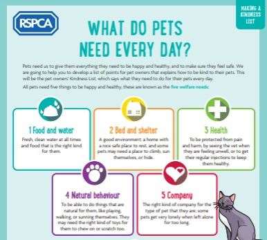 Activities will encourage children to think about their pet's needs