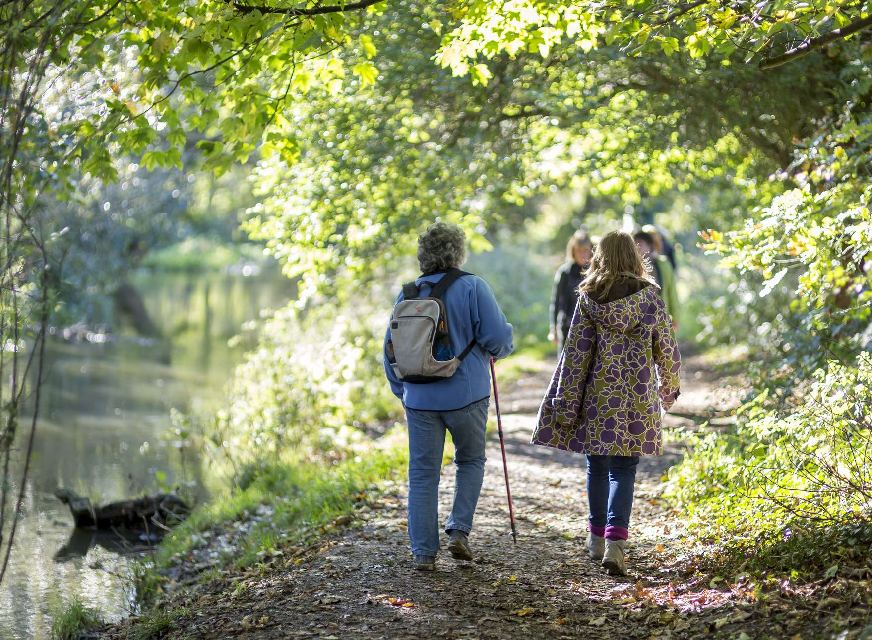 Lullingstone Park, near Eynsford