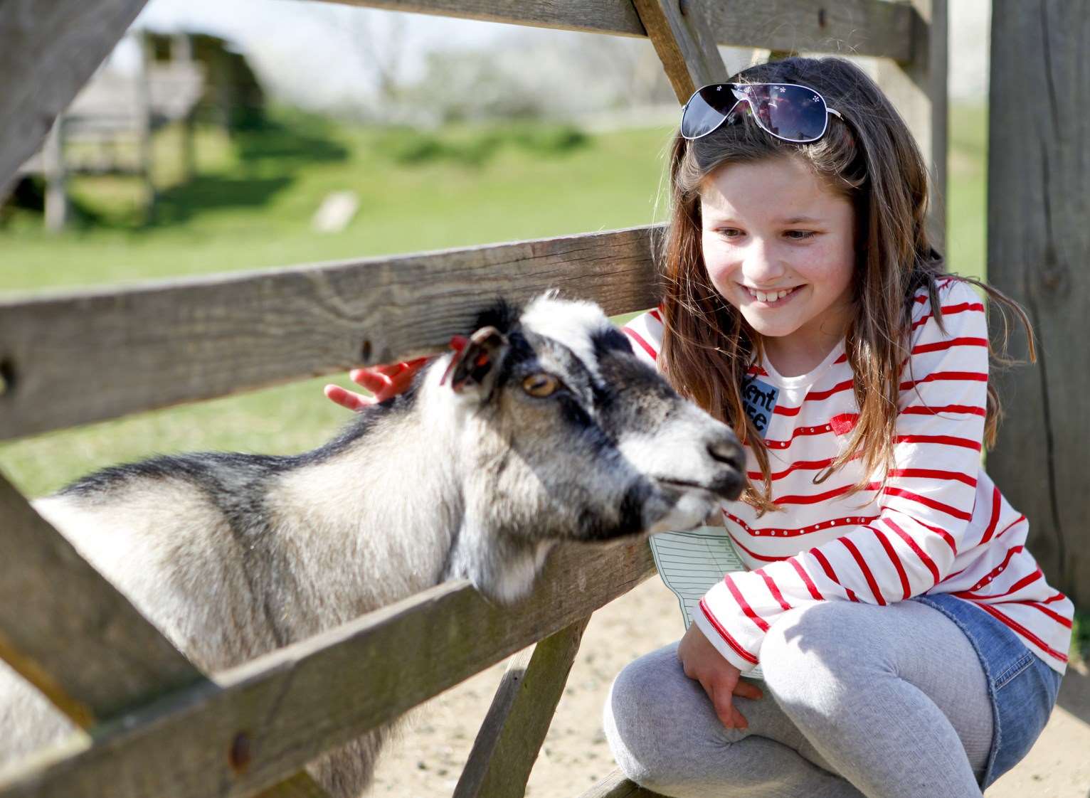 Celebrate your birthday at Kent Life near Maidstone. Picture: Leah Edwards